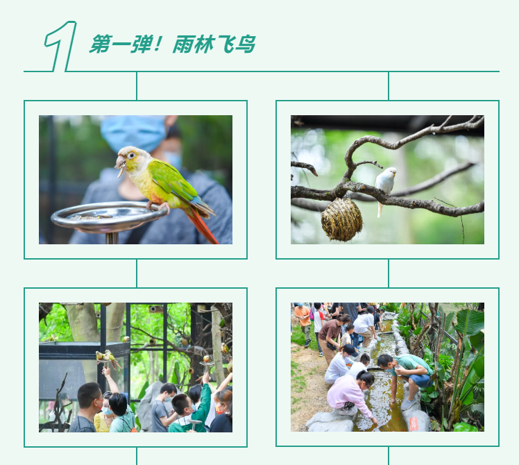 �ȷ����������뼶ͬ��ȫ������,����˲�伴֪����
